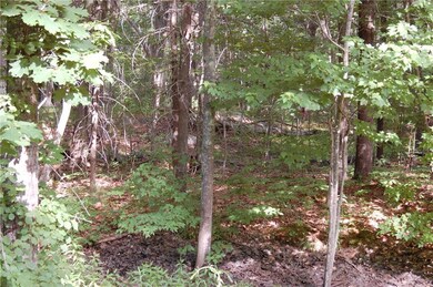 Imagine where you would site your home.