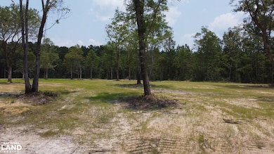 0 Steed Creek Rd unit 25684025, Huger, SC 29450 - photo 5