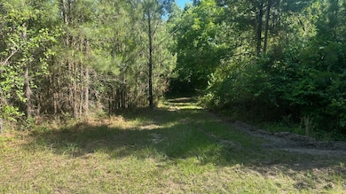 0 Dorsey Clark Rd unit 23736139, Sylvania, GA 30467 - photo 2