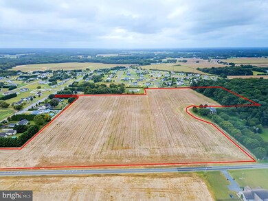 20450 Elks Lodge Rd, Lincoln, DE 19960 - photo 6