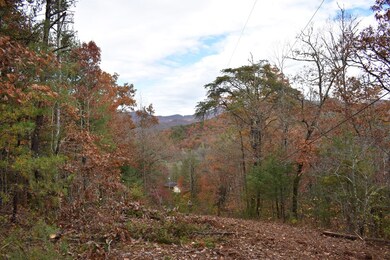 2000 Leatherman Gap Rd, Franklin, NC 28734 - photo 7