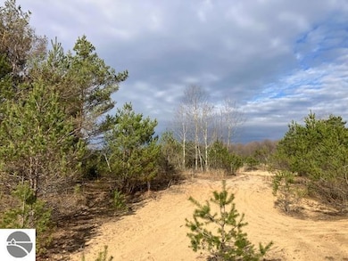 Parcel F-3 N 2 1 2 Rd, Hanover Township, MI 49620 - photo 2