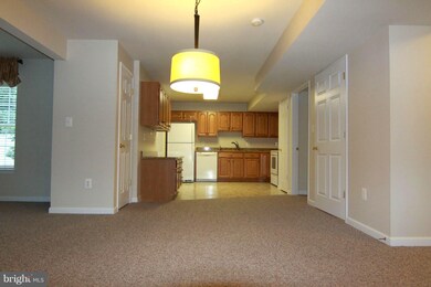 26A E Loudoun St unit LOWER LEVEL, Round Hill, VA 20141 - photo 4