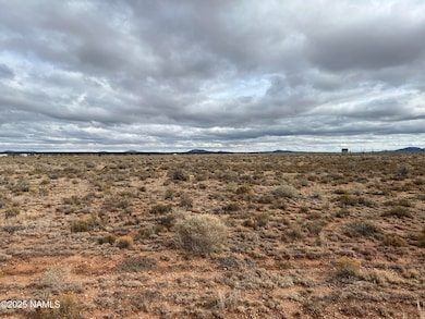 1059 S Laguna Dr, Valle, AZ 86046 - photo 3