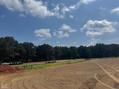 8 Gordo Dr, Brookland, AR 72417 - photo 3