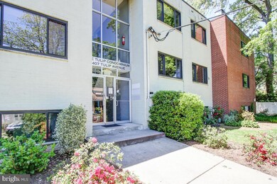 407 Tulip Ave unit 102, Takoma Park, MD 20912 - photo 4