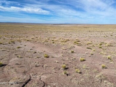 0 N Porter Rd unit 238403, Joseph City, AZ 86032 - photo 7