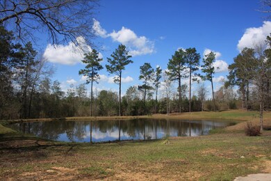 Pond