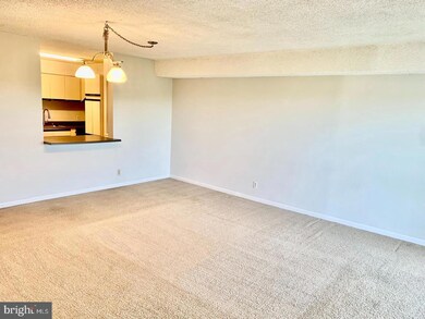 Lakeside Plaza Condominium unit 1118, Baileys Crossroads, VA 22041 - photo 2