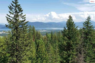 NNA Redtail Hawk Rd, Sandpoint, ID 83864 - photo 6