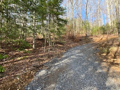 Lot 8 Ivy Log Dr, Murphy, NC 28906 - photo 7