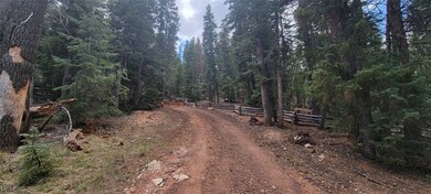 1660 E Beech Craft Dr, Duck Creek Village, UT 84762 - photo 4