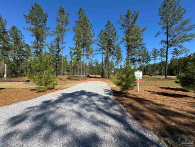 9118 Pine Preserve Ln unit LOT 21, Jay, FL 32565 - photo 2