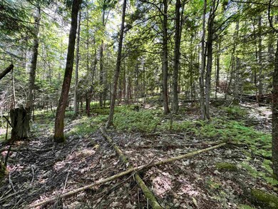 Lot 87 Langway Rd, Lyman, NH 03585 - photo 5