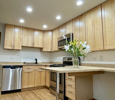 5145 Washington St unit 2, Downers Grove, IL 60515 - photo 2