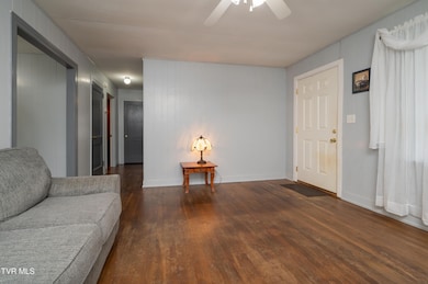 313 Amber St, Kingsport, TN 37660 - photo 5