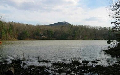 Additional View