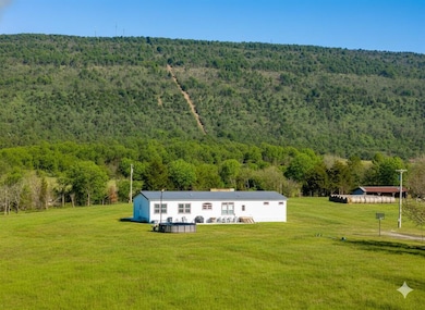 7741 Oklahoma 63, Talihina, OK 74571 - photo 3