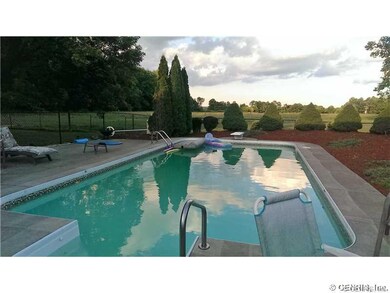 Patio. pool
