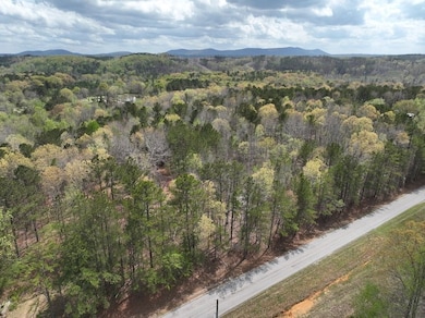 0 Berney Station Rd unit 23115946, Talladega, AL 35160 - photo 3