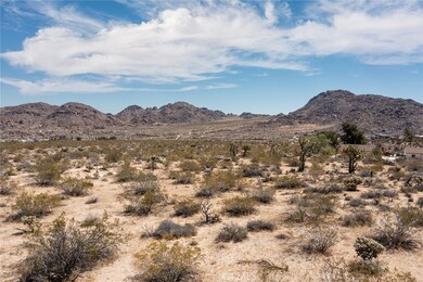 4444 Skyline Dr, Joshua Tree, CA 92252 - photo 6