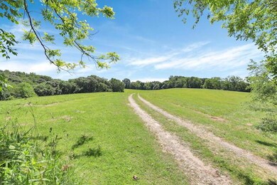 90-web-or-mls-IMG_6998
