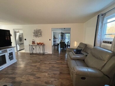 14 Pine Needle Ln, Springfield, MA 01118 - photo 5