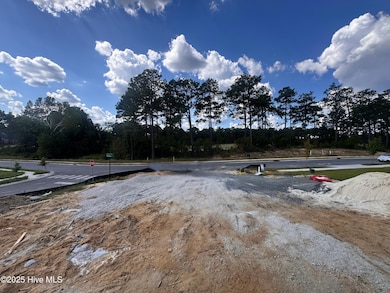 653 Watauga Ln unit 579, Aberdeen, NC 28315 - photo 4