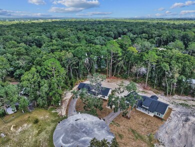 17371 NW 81st Terrace, Fanning Springs, FL 32693 - photo 7