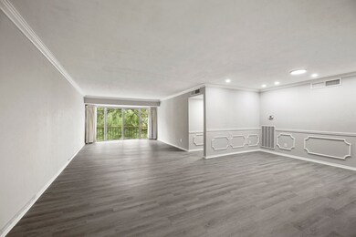Massive open space living room as you walked in.