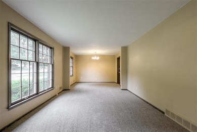 New carpet