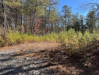 Lot 32 E Ridge Ln, Ellijay, GA 30536 - photo 6