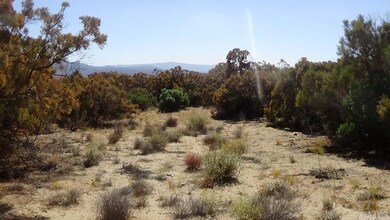 37245 Old Forest Rd, Anza, CA 92539 - photo 7