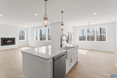 6366 Louisa Rd, Keswick, VA 22947 - photo 5