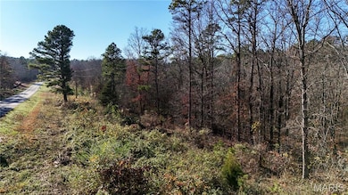 000 Ripley Route O, Grandin, MO 63943 - photo 4