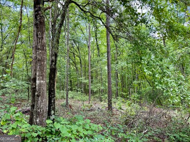 193 Griswoldville Shortcut, Macon, GA 31217 - photo 6