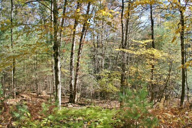 81 Covered Bridge Dr, Hawley, PA 18428 - photo 7