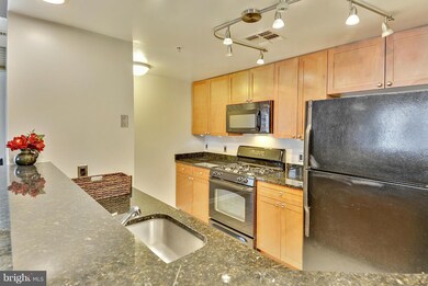 The Crescent unit 210, Silver Spring, MD 20910 - photo 7