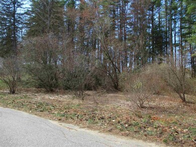 0 Madeline St unit Lot 113 -18 4855092, Franklin, NH 03235 - photo 4