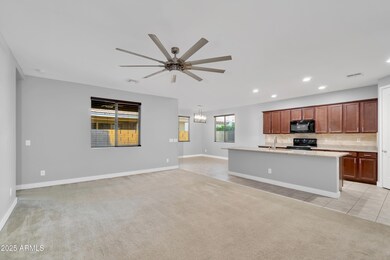 Palladium20240919_010