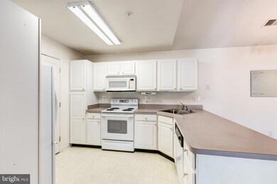 2013 Rudy Serra Dr unit 3B, Sykesville, MD 21784 - photo 6