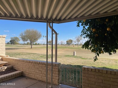 10629 W Pineaire Dr, Sun City, AZ 85351 - photo 7