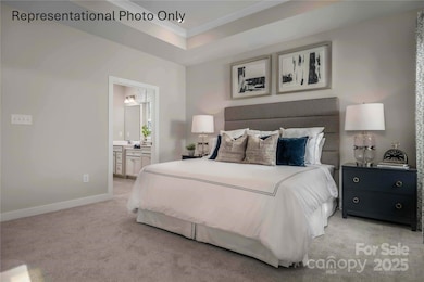 1018 Black Bear Rd unit 3253, Indian Trail, NC 28079 - photo 7