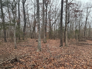 Lot 1 Waterfront 1, Shell Knob, MO 65747 - photo 6