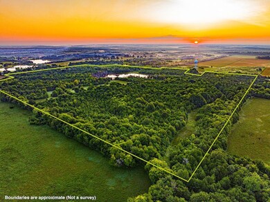 0 Bill Dexter Rd unit LotWP001 24537982, West Point, MS 39773 - photo 2