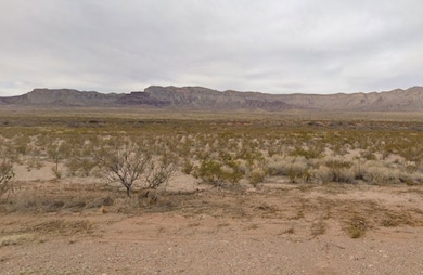 Quarter Horse Run, Sierra Blanca, TX 79851 - photo 6