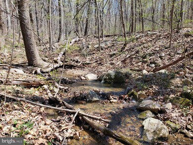 0 Brush Leaf Ln unit VASH2003004, Mount Jackson, VA 22842 - photo 5