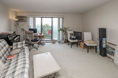 151 Coolidge Ave unit 510, Watertown, MA 02472 - photo 5