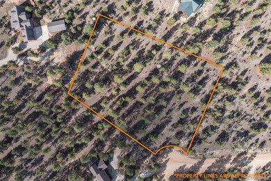 30664 Gray Jay Draw unit 27, Buena Vista, CO 81211 - photo 3