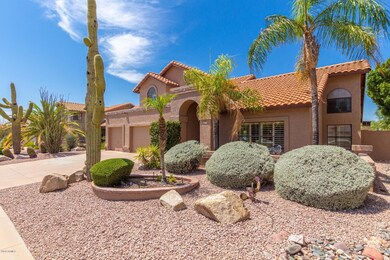 0018-Saddleback (43)